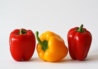 Sering Disepelekan dan Disingkirkan, Ternyata Paprika Bisa Datangkan 7 Manfaat Ini! Salah Satunya Cegah Penyakit Jantung