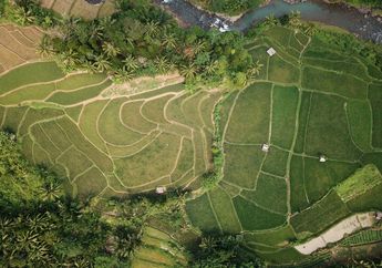 Provinsi Apakah yang Memiliki Jumlah Desa Paling Banyak di Indonesia?
