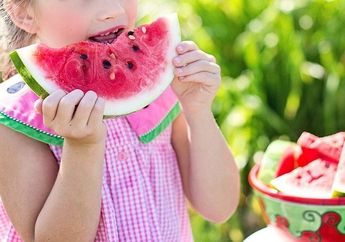 3 Hak Terhadap Makanan, Materi Kelas 3 Tema 4