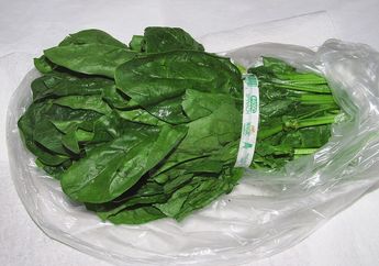 Jangan sampai Terbuang, Ini 3 Cara Tepat Menyimpan Sayur Kailan Agar Tidak Mudah Busuk dan Tetap Segar dalam Waktu Lama