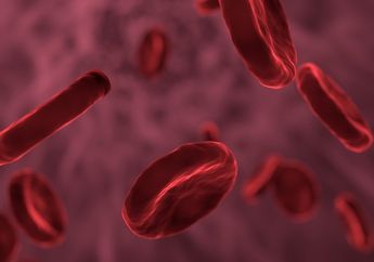 Contoh-Contoh Gangguan Peredaran Darah Manusia, Ada Anemia hingga Hemofilia