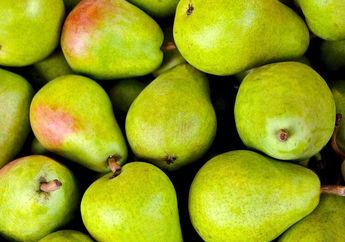 Kalah Populer dari Buah Lain, Ternyata Pir Miliki Sederet Khasiat Ini! Salah Satunya Turunkan Risiko Diabetes