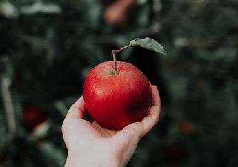 Satu Buah Apel Mengandung Berapa Kalori?