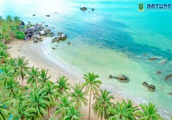 3 Fakta Menarik Pulau Natuna, Bagian Kepulauan Riau yang Kaya akan Biota Laut