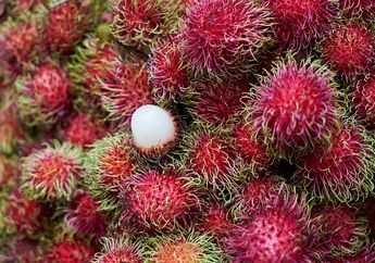 Jawab Soal Kalimat Saran dalam 'Panen Rambutan', Kelas 3 Tema 4 Subtema 3