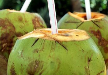 Apa Fungsi Utama dari Air Kelapa?