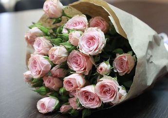 Cara Menanam Bunga Mawar dengan Mudah, Tanaman Hias Cantik di Rumah