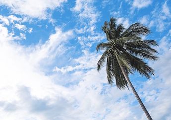 Seperti Apa Rasanya Menyentuh Awan?