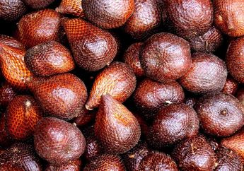 BERITA POPULER: Kulit Salak yang Bisa Dibuat Menjadi Teh hingga 7 Alat Musik yang Bisa Ditiup