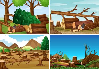 Cari Jawaban Kelas 4 SD Tema 4, Apa yang Harus Dilakukan untuk Menghindari Kerusakan Hutan?