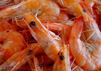 Makan Udang Sambil Minum Es Jeruk Disebut Bisa Bikin Keracunan, Benarkah Demikian?