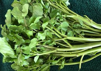Manfaat Sayur Paret atau Selada Air, Salah Satunya Tangkal Radikal Bebas