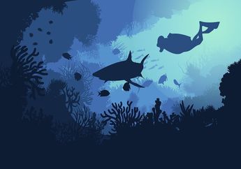Apa Perbedaan Palung Laut dan Lubuk Laut?
