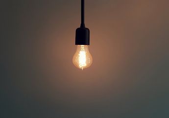 Mengapa Ada Serangga yang Senang Berada di Dekat Lampu?