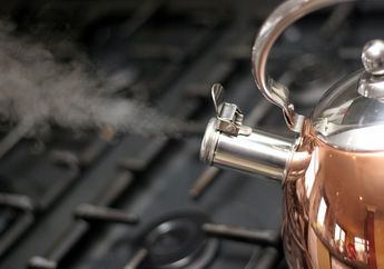 BERITA POPULER: Cara Mudah Bersihkan Kerak di Ketel Stainless Steel, hingga 5 Jenis Kaktus yang Bisa Tumbuh di Dalam Rumah