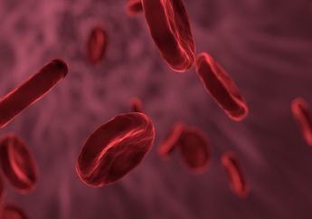Mengenal Apa Itu Sel Darah Merah dan Strukturnya