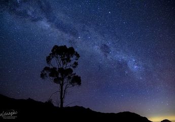 Apakah Bintang Tidak Bergerak?