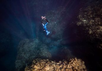 Tidak Ada Penerangan, Bagaimana Cara Hewan Laut Melihat di Dasar Laut?