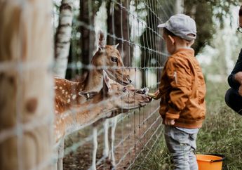 Jawab Soal Materi Bahasa Inggris 'Going to the Jurug  Zoo', Kelas 4 SD