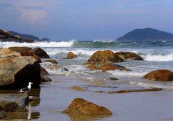 Ke Mana Perginya Air Laut saat Surut?