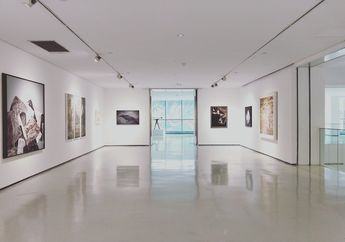 Mengapa saat Pameran Lukisan Tidak Boleh Memotret dengan Flash?