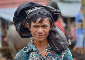 Daftar Suku Bangsa Indonesia yang Ada di Pulau Sulawesi