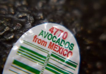 Apa Fungsi Stiker yang Menempel pada Buah di Pasar Swalayan?
