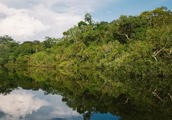Lebarnya Mencapai 48 Kilometer, Ini Fakta Unik Sungai Amazon yang Dijuluki Sungai Terkuat di Bumi
