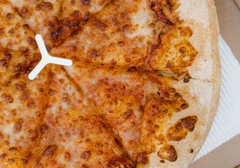 Apa Fungsi Pizza Saver?