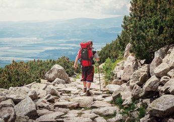 Suka Jalan-Jalan? Ini 5 Jurusan yang Cocok untuk Si Hobi Traveling