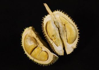 3 Penderita Penyakit yang Dilarang Mengonsumsi Durian, Salah Satunya Sakit Maagh