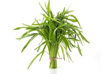 Terkenal Menyehatkan, Ini 5 Fakta Kangkung yang Dianggap Gulma hingga Sebabkan Kantuk
