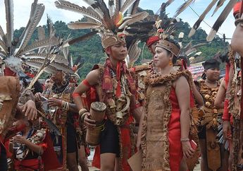 Budaya Suku Dayak: Asal Usul, Kesenian, dan Kepercayaan