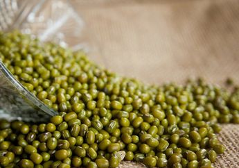 Tahap Pertumbuhan dan Perkembangan Tumbuhan Kacang Hijau