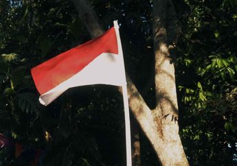 Tugas, Wewenang dan Fungsi DPD, Materi TWK SKD CPNS