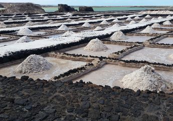 Dijuluki Pulau Garam, Ternyata Pulau Madura Pernah Ditetapkan Jadi Negara oleh Belanda