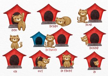 Kumpulan Soal dan Jawaban Bahasa Inggris Materi Preposition of Place