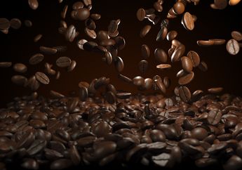 Benarkah Biji Kopi Dapat Menyehatkan Kulit?