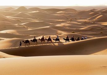 Bukan Gurun Terluas di Dunia, Ini 5 Fakta Menarik Gurun Sahara