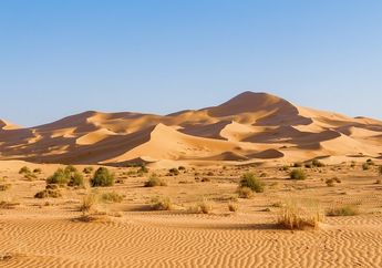 Seberapa Luas Gurun Sahara?
