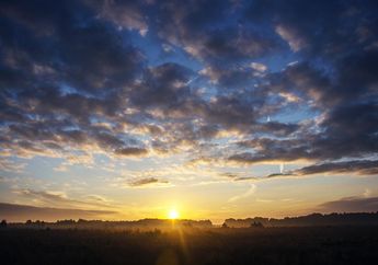 Benarkah Sinar Matahari Pagi Mengandung Vitamin D? Ketahui Faktanya