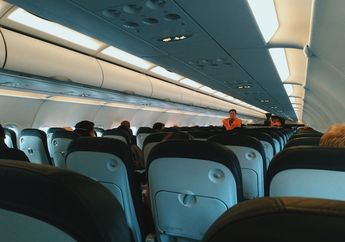 Apa Fungsi Logo Segitiga pada Bagian Tengah Pesawat?