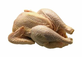 Perbedaan Daging Ayam Kampung dan Ayam Broiler, Salah Satunya Kandungan Gizi