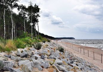 Apa yang Dimaksud dengan Abrasi Pantai?