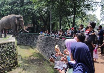 Berapa Harga Tiket Kebun Binatang Ragunan Tahun 2022?