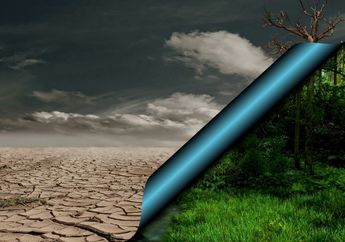 Hari Konvensi Bonn, Ini 5 Hal Sederhana yang Bisa Dilakukan untuk Mengurangi Pemanasan Global