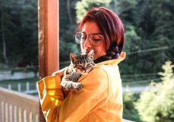 Apa Itu Animal Communicator?