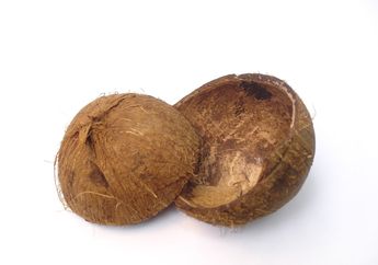Cari Jawaban Kelas 3 SD Tema 8, Sebutkan 3 Hasil Karya yang Berbahan Tempurung Kelapa!