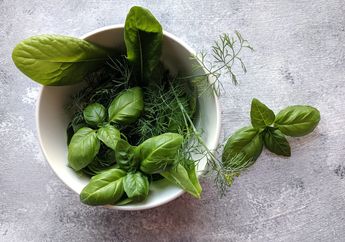 Tidak Menemukan Daun Basil Segar di Pasar? Gunakan 6 Bahan Ini Sebagai Gantinya