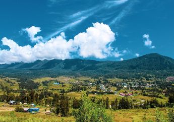 Cakupan Wilayah dari Tiga Provinsi Baru di Papua